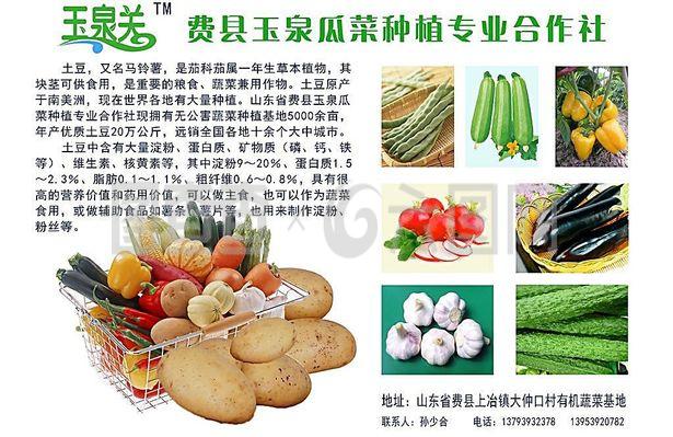 蔬菜產品宣傳彩頁圖片