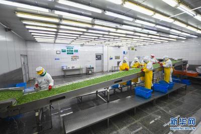 浙江慈溪推進高效集約現(xiàn)代農(nóng)業(yè)發(fā)展