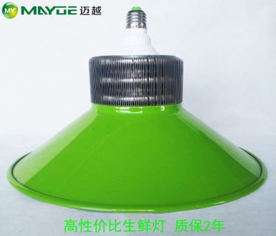 工礦燈/生鮮燈套件：專業(yè)豬肉燈外殼，提升生鮮展示照明效果